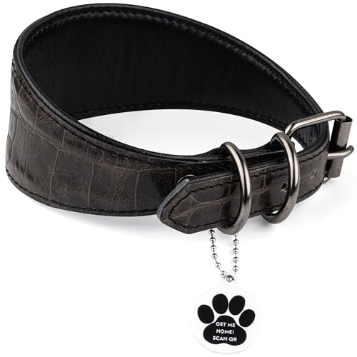 FAVPET Luxus Echtleder Windhund Halsband Breit mit QR Code Anhänger, Weiches Lederhalsband Hund Breit Whippet Italienisches Windspiel Saluki Lurcher Spanischer Galgo Greyhound Podenco (Grau, XS) von FAVPET
