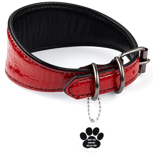 FAVPET Luxus Echtleder Windhund Halsband Breit mit QR Code Anhänger, Weiches Lederhalsband Hund Breit Whippet Italienisches Windspiel Saluki Lurcher Spanischer Galgo Greyhound Podenco (Rot, S) von FAVPET