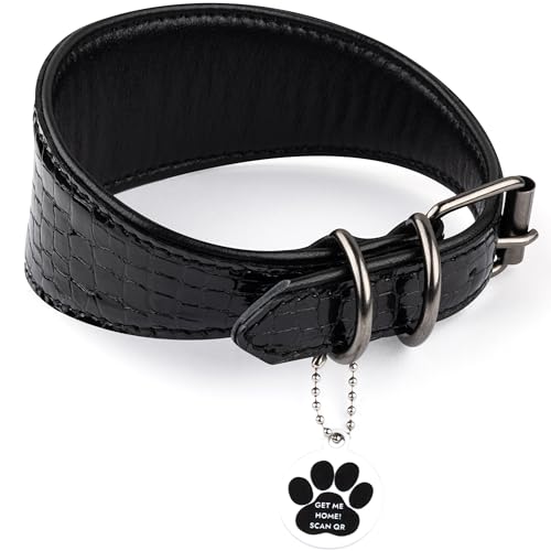 FAVPET Luxus Echtleder Windhund Halsband Breit mit QR Code Anhänger, Weiches Lederhalsband Hund Breit Whippet Italienisches Windspiel Saluki Lurcher Spanischer Galgo Greyhound Podenco (Schwarz, L) von FAVPET