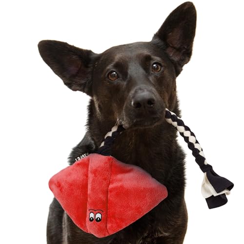 FAVPET Plüsch Hunde Spielzeug Rochen, Robustes Hundespielzeug Quietschend Große und Kleine Hunde, Quietschendes Spielzeug Plüschtier, Lustiges Hundespielzeug Welpen Plüsch (Rot) von FAVPET