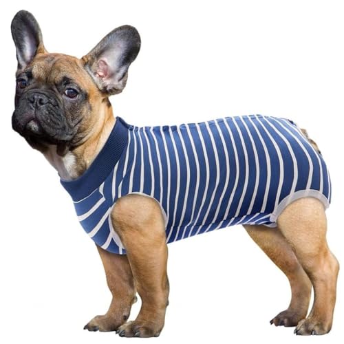 Erholungsanzug für Hunde – Anti-Lecken-Schutzanzug für leichte Inkontinenz bei Haustieren – Erholungsanzug für kleine Hunde, weibliche Spay – Vu01, Bluestripe-XXL von FAXIOAWA