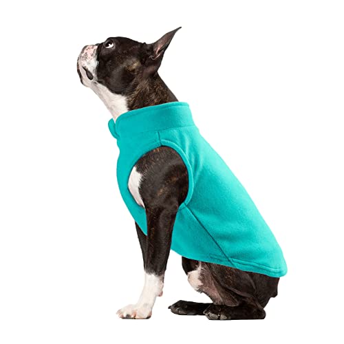 Kleidung für kleine Hunde, Winter, warm, Welpenjacke, Hundemantel, einfarbig, Fleece, Haustierweste, Hund, Katze, Fleece-Pullover, Hunde-Sweatshirt, Haustierbekleidung für kaltes Wetter, Farbe BS von FAXIOAWA