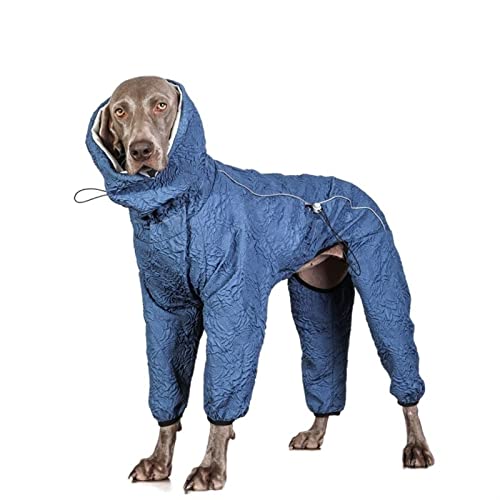 Regenmantel für Hunde Regenmantel für große Hunde Winterkleidung für große Hunde Overall Welsh Corgi Husky Samojede Labrador Golden Retriever Weimaraner Hundekostüm (Color : Blue, Size : 8) von FAXIOAWA