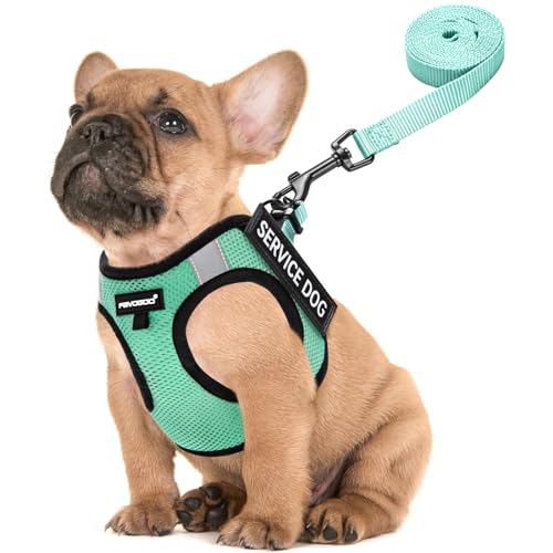 FAYOGOO Hundegeschirr für kleine und mittelgroße Hunde – leichtes Diensthund im Trainingsgeschirr mit 3 abnehmbaren Patches – kein Ziehen, Welpengeschirr zum Spazierengehen von FAYOGOO