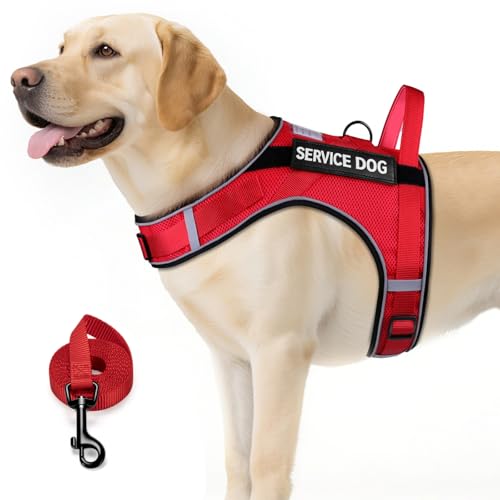 FAYOGOO Service Dog Vest for Large Dogs – Air-Mesh, atmungsaktive emotionale Unterstützung, Tierweste mit abnehmbaren Flicken, Hundegeschirr und Leine, verstellbar, Hals und Brust (Rot, XXL) von FAYOGOO