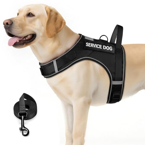 FAYOGOO Service Dog Vest for Large Dogs – Air-Mesh, atmungsaktive emotionale Unterstützung, Tierweste mit abnehmbaren Flicken, Hundegeschirr und Leine, verstellbar, Hals und Brust (Schwarz, XXL) von FAYOGOO