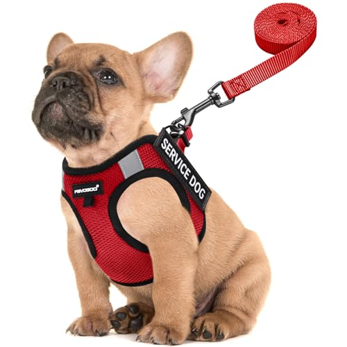 FAYOGOO Service-Hundeweste für kleine und mittelgroße Rassen, leichtes Hundegeschirr mit 6 abnehmbaren Flicken, Welpengeschirr und Leine, Set für Spaziergänge, Training von FAYOGOO