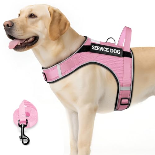 FAYOGOO Serviceweste für große Hunde, luftdurchlässig, atmungsaktiv, emotionale Unterstützung, Tierweste mit abnehmbaren Flicken, Hundegeschirr und Leine, verstellbar, Hals und Brust (Rosa, XXL) von FAYOGOO