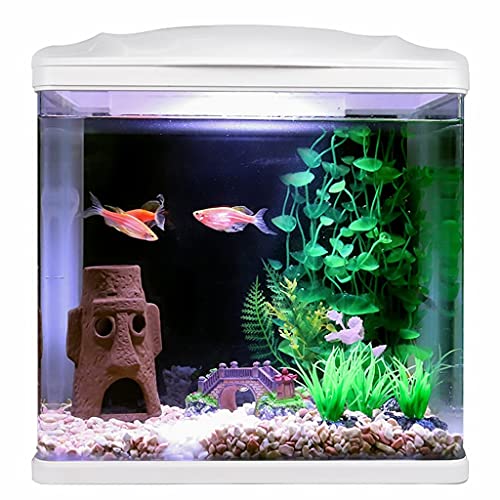 Fischtank, kreatives Fischtank für den Schreibtisch, kleines Fischtank, Tischaquschaquarium, Goldfisch-Dekoration, Fischtank aus Glas, kostenloser Wasserwechsel, Heimdekoration, Aquariumtank Fischtank, kreatives Fischtank für den Schreibtisch, kleines Fischtank, Tischaquschaquarium, Goldfisch-Dekoration, Fischtank aus Glas, kostenloser Wasserwechsel, Heimdekoration, Aquariumtank von FBHappiness