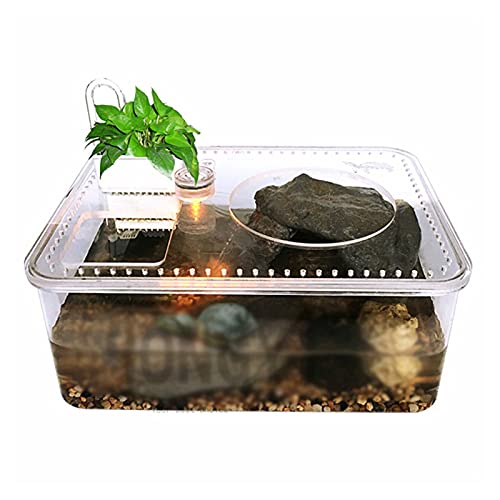 Reptilien-Fütterungs-Terrarium-Box, Schildkröten-Eidechse, 1 Stück, Kunststoff, transparent, für Reptilienzucht, Futterbox, großes Fassungsvermögen, Aquarium, Lebensraum, Wanne, Schildkrötentank-Plattform, Tier-Ha von FBITE
