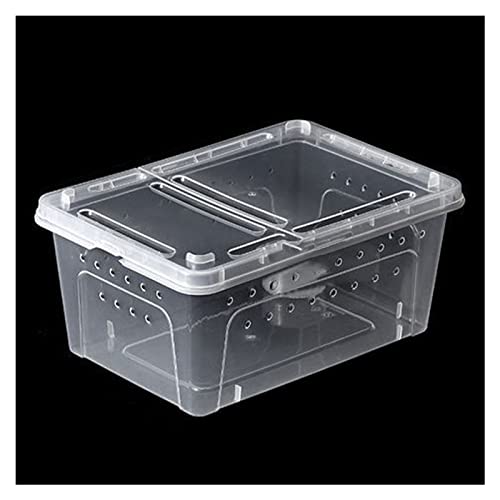 Reptilien-Futter-Terrarium-Box, Schildkröten-Eidechsen-Futterbox, Lebensraum, Zucht, transparentes PP, Reptilien-Box, Eidechsen-Box, Box, Schlangenfutter, Futter, Transportbehälter, Tierlebensraum von FBITE