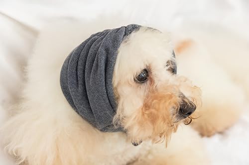 FDANDADE Hunde-Föhn-Ohrschutz, Hunde-Angst-Ohrenschutz für Hunde, Angstlinderung - Geräuschunterdrückung für Feuerwerk, Haustierpflege und Trocknung mit Gewaltentrocknung, Grau, M FDANDADE Hunde-Föhn-Ohrschutz, Hunde-Angst-Ohrenschutz für Hunde, Angstlinderung - Geräuschunterdrückung für Feuerwerk, Haustierpflege und Trocknung mit Gewaltentrocknung, Grau, M von FDANDADE