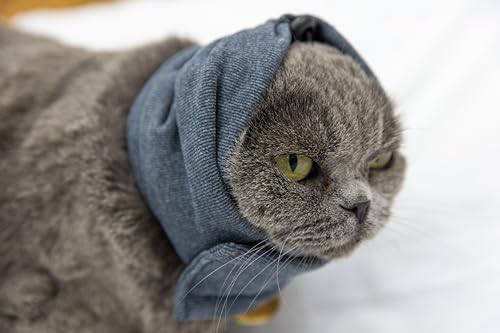 FDANDADE Katzenbadzubehör, Ohrwickel ohne Klappe, für Katzen, Angstlinderung, Geräuschunterdrückung für Feuerwerk, Grau, Größe S FDANDADE Katzenbadzubehör, Ohrwickel ohne Klappe, für Katzen, Angstlinderung, Geräuschunterdrückung für Feuerwerk, Grau, Größe S von FDANDADE