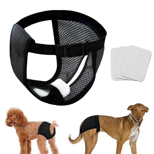 FDANDADE Waschbare Windeln für weibliche Hündinnen, wiederverwendbare Hygienehöschen für Hündinnen mit verstellbarer Hundeunterwäsche für Hündinnen bei Hitze, Schwarz, Größe L FDANDADE Waschbare Windeln für weibliche Hündinnen, wiederverwendbare Hygienehöschen für Hündinnen mit verstellbarer Hundeunterwäsche für Hündinnen bei Hitze, Schwarz, Größe L von FDANDADE