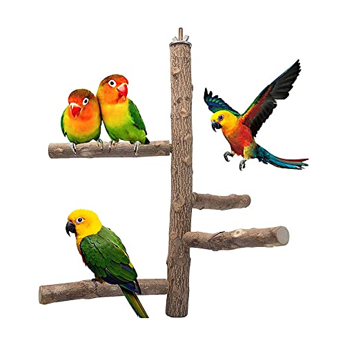 Bird Cage Perch, Sitzstangen Vögel, Vogel Naturholz Zweige, Naturholz Sitzstangen, Sittich Ständer Spielzeug, für Papageien, Wellensittiche, Nymphensittiche, Kanarienvögel Verwendet von FDDE