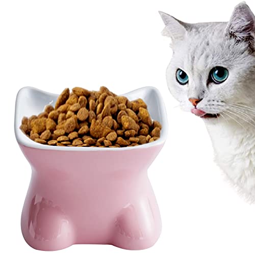 Katzennapf Keramik,Futternäpfe Katzenfutter,Futternapf für Katzen aus Porzellan mit Neigendem Design,Keramikschale für Katze Welpe Futter und Hunde,Katzentrinkschüssel Futterschale für Haustiere von FDDG