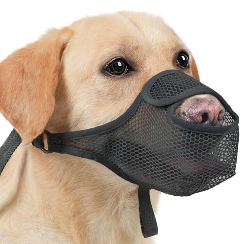 FDEETY Maulkorb für Hunde Verstellbarer Schlaufe Atmungsaktives Mesh Verhindert Beißen Sicher Atmungsaktives Bellen und Kauen Erziehungshilfen für Hunde(Eisenhaltig,XS) von FDEETY