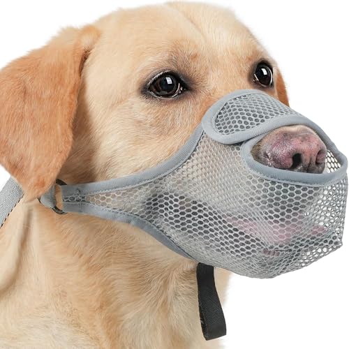 FDEETY Maulkorb für Hunde Weicher Netzmaulkorb für Kleine Mittelgroße und Große Hunde Verstellbare von Beißen Lecken und Kauen Ermöglicht Hecheln und Trinken Grau L FDEETY Maulkorb für Hunde Weicher Netzmaulkorb für Kleine Mittelgroße und Große Hunde Verstellbare von Beißen Lecken und Kauen Ermöglicht Hecheln und Trinken Grau L von FDEETY