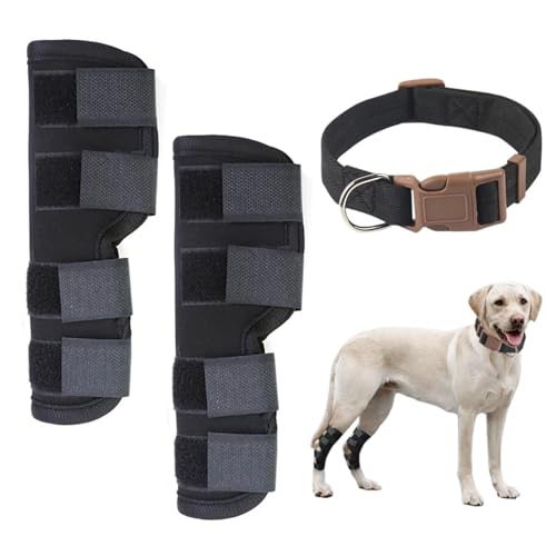 FDGGT 1 Paar Knieschützer Für Haustiere, 1 Halsband Für Haustiere, Schutzausrüstung Für Hunde, Gelenkschutzausrüstung, Haustierbedarf FDGGT 1 Paar Knieschützer Für Haustiere, 1 Halsband Für Haustiere, Schutzausrüstung Für Hunde, Gelenkschutzausrüstung, Haustierbedarf von FDGGT