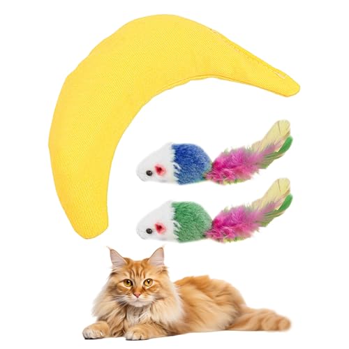 FDGGT 1 Stück Bananen-Katzenspielzeug Und 2 Stück Mausspielzeug, Kreatives Katzenspielzeug, Plüsch-Katzenspielzeug, Interaktives Katzenspielzeug FDGGT 1 Stück Bananen-Katzenspielzeug Und 2 Stück Mausspielzeug, Kreatives Katzenspielzeug, Plüsch-Katzenspielzeug, Interaktives Katzenspielzeug von FDGGT