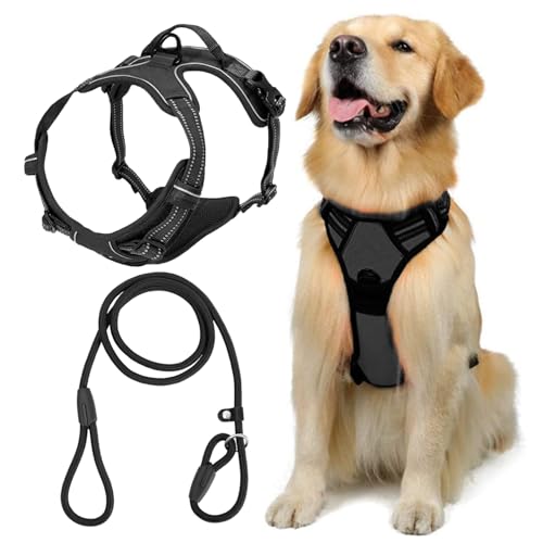 FDGGT 1 Stück Hundegeschirr Und 1 Stück Hundeleine, Haustierbedarf, Verstellbares Hundegeschirr, Haustierausflugszubehör FDGGT 1 Stück Hundegeschirr Und 1 Stück Hundeleine, Haustierbedarf, Verstellbares Hundegeschirr, Haustierausflugszubehör von FDGGT
