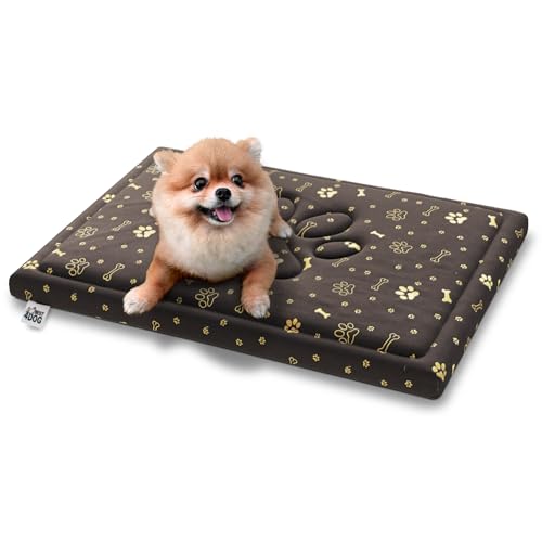 FDM Puddy Hundebett Kleine Hunde 70x60 cm Wasserdicht rutschfest Hundekissen Polyurethanschaum mit Memory-Effekt Abnehmbarer Bezug Waschbar Braun/Gold FDM Puddy Hundebett Kleine Hunde 70x60 cm Wasserdicht rutschfest Hundekissen Polyurethanschaum mit Memory-Effekt Abnehmbarer Bezug Waschbar Braun/Gold von FDM
