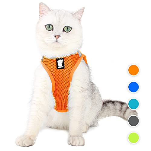 FDOYLCLC Katzengeschirr und Leine, Set zum Gehen, ausbruchsicher, Step-In, einfach zu kontrollierende Outdoor-Jacke, verstellbar, reflektierend, mittelgroße und große Kätzchen (Orange, XS) von FDOYLCLC