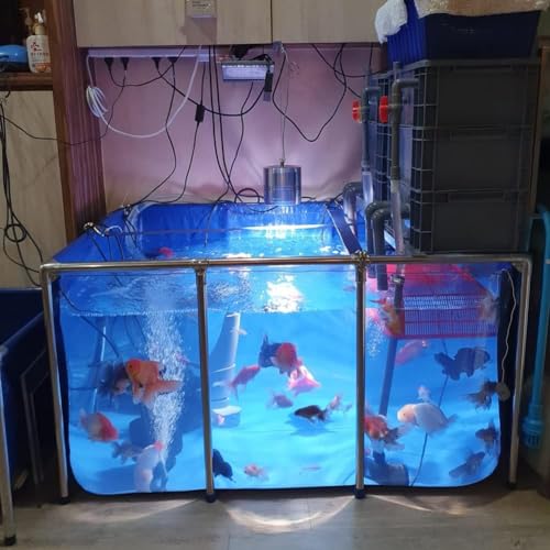 Großes PVC-Leinen-Aquarium, Fisch- und Wasserhaustier-Poolteich, Stahlrahmen, klares Sichtfenster, leicht montierbar, Blau (Größe: 100 x 60 x 51 cm) von FDSGEEE