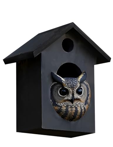 Eulenhaus, Kreischeule Nistkasten, schwarzer Eulenkasten, Eulenkästen für draußen, Eulenhäuser für draußen, Eulen-Nistkasten, Eulenhaus, Scheuneneule Box Eulenhaus, Kreischeule Nistkasten, schwarzer Eulenkasten, Eulenkästen für draußen, Eulenhäuser für draußen, Eulen-Nistkasten, Eulenhaus, Scheuneneule Box von FDYLK