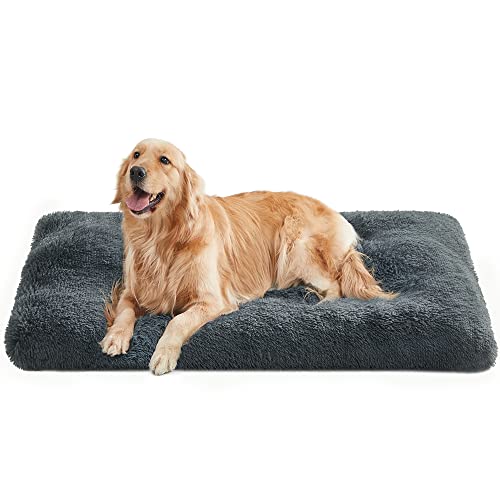 Feandrea Hundebett, Hundekissen, Flauschige Hundematte, Langer Plüsch, 122 x 74 cm, weiche Polsterung, waschbar, multifunktional, dunkelgrau PGW204G02 Feandrea Hundebett, Hundekissen, Flauschige Hundematte, Langer Plüsch, 122 x 74 cm, weiche Polsterung, waschbar, multifunktional, dunkelgrau PGW204G02 von Feandrea
