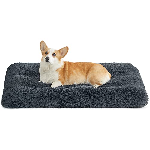 Feandrea Hundebett, Hundekissen, Flauschige Hundematte, Langer Plüsch, 95 x 60 cm, weiche Polsterung, maschinenwaschbar, multifunktional, dunkelgrau PGW202G02 von Feandrea