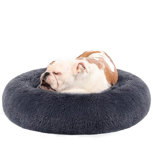 Feandrea Hundebett flauschig, Katzenbett, Donut Kissen, waschbar, Polsterung in der Mitte herausnehmbar, Langer Plüsch, 80 cm Durchmesser, dunkelgrau PGW040G02 Feandrea Hundebett flauschig, Katzenbett, Donut Kissen, waschbar, Polsterung in der Mitte herausnehmbar, Langer Plüsch, 80 cm Durchmesser, dunkelgrau PGW040G02 von Feandrea