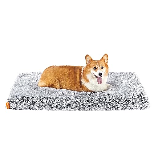 Feandrea Hundebett, orthopädisches Hundekissen, mit Noppenschaumstoff gepolstert, Bezug abnehmbar und waschbar, Größe L, für mittlere Hunde, 95 x 60 x 8 cm, Ombré-Grau PGW212G01 von Feandrea