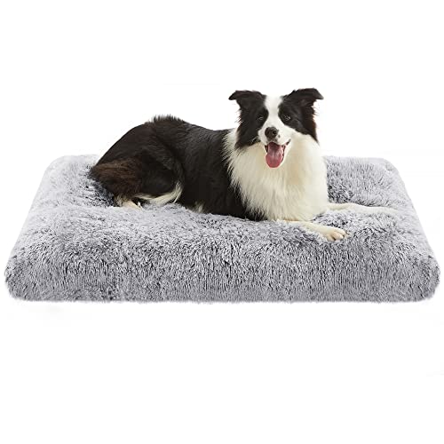 Feandrea Hundebett, Hundekissen, Flauschige Hundematte, Langer Plüsch, 110 x 73 cm, weiche Polsterung, waschbar, multifunktional, Ombré-Grau PGW203G01 Feandrea Hundebett, Hundekissen, Flauschige Hundematte, Langer Plüsch, 110 x 73 cm, weiche Polsterung, waschbar, multifunktional, Ombré-Grau PGW203G01 von Feandrea