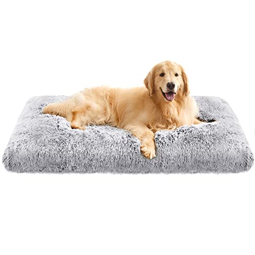 Feandrea Hundebett, Hundekissen, Flauschige Hundematte, Langer Plüsch, 122 x 74 cm, weiche Polsterung, waschbar, multifunktional, Ombré-Grau PGW204G01 von Feandrea