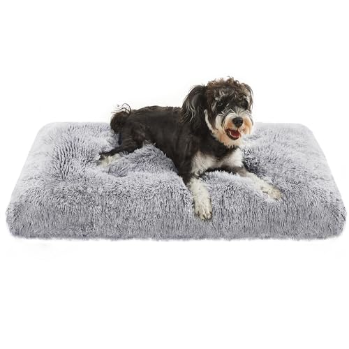 Feandrea Hundebett, Hundekissen, Flauschige Hundematte, Langer Plüsch, 80 x 50 cm, weiche Polsterung, maschinenwaschbar, multifunktional, Ombré-Grau PGW201G01 von Feandrea