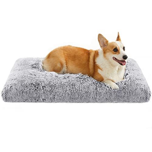 Feandrea Hundebett, Hundekissen, Flauschige Hundematte, Langer Plüsch, 95 x 60 cm, weiche Polsterung, maschinenwaschbar, multifunktional, Ombré-Grau PGW202G01 von Feandrea