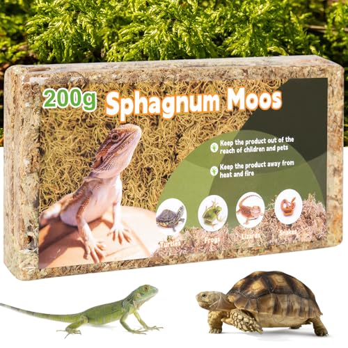 FEBCAT Catch Sphagnum Moos für Pflanzen 200g | Spagnummoos für Orchideen und Zimmerpflanzen | Sphagnum Moss für Reptiles | Moos für Schildkröten | Moos Terrarium Zubehör von FEBCAT Catch