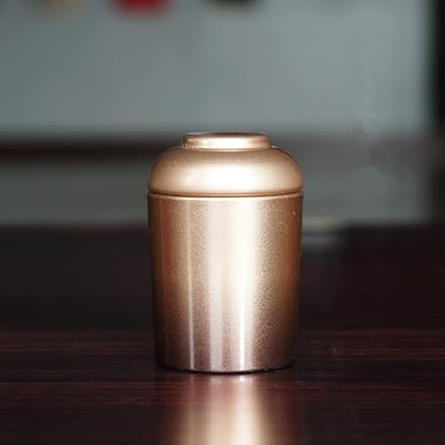 FEILIV Gold/Schwarze Edelstahl Urnen Haustiere Hunde Katze Vögel Maus Einäscher Asche Urne Andenkensschatulle Columbarium Tierurne(Gold) von FEILIV