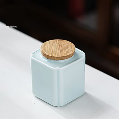 FEILIV Pet Urn for Dogs Cats Ashes Keepsake Memorial Box Funeral Set Burial Urns for Cremated Remains Ash Vial Adult Funeral Urn Pet Cat and Dog Urn 21794 Tierurne(Blue) von FEILIV