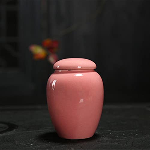 FEILIV Pet Urn for Dogs Cats Ashes Keepsake Memorial Box Funeral Set Burial Urns for Cremated Remains Ash Vial Adult Funeral Urn Pet Cat and Dog Urn 36322 Tierurne(Pink) von FEILIV