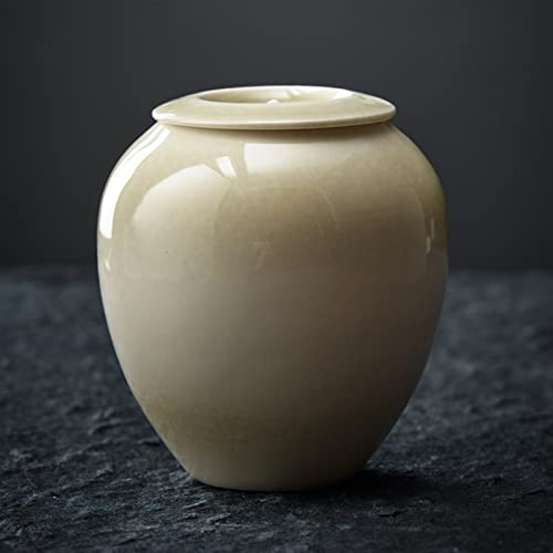 FEILIV Pet Urn for Dogs Cats Ashes Keepsake Memorial Box Funeral Set Burial Urns for Cremated Remains Ash Vial Adult Funeral Urn Pet Cat and Dog Urn 55993 Tierurne(B) von FEILIV
