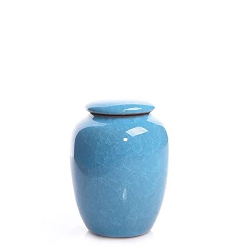 FEILIV Pet Urn for Dogs Cats Ashes Keepsake Memorial Box Funeral Set Burial Urns for Cremated Remains Ash Vial Adult Funeral Urn Pet Cat and Dog Urn 8073 Tierurne(Blue) von FEILIV