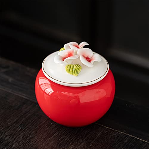 FEILIV Pet Urn for Dogs Cats Ashes Keepsake Memorial Box Funeral Set Burial Urns for Cremated Remains Ash Vial Adult Funeral Urn Pet Cat and Dog Urn 95651 Tierurne(Red) von FEILIV