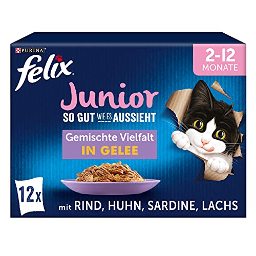 FELIX So gut wie es aussieht Junior Kittenfutter nass in Gelee, Sorten-Mix, 6er Pack (6 x 12 Beutel à 85g) von FELIX