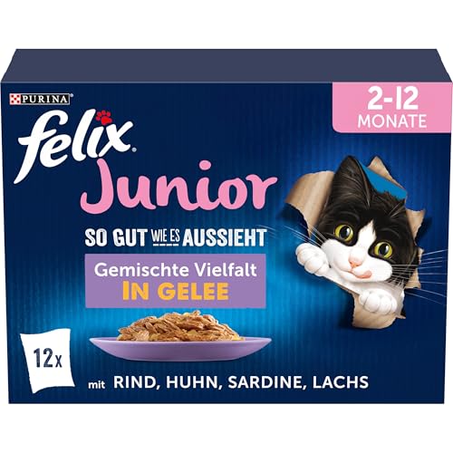 FELIX So gut wie es aussieht Junior Kittenfutter nass in Gelee, Sorten-Mix, 6er Pack (6 x 12 Beutel à 85g) von FELIX