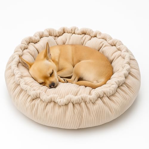 FELLBUDDY - beiges Cord Hundebett - Hundekorb - orthopädisches Hundebett - Hundesofa - Katzenkorb - Hundekörbchen - Hundedonut FELLBUDDY - beiges Cord Hundebett - Hundekorb - orthopädisches Hundebett - Hundesofa - Katzenkorb - Hundekörbchen - Hundedonut von FELLBUDDY