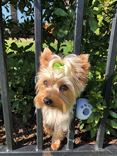 FenceMate Hundegeschirr für kleine Hunde mit angenähten Bällen, um ein Entkommen durch Zaunöffnungen zu verhindern, Größe M, passend für Umfang oder Brustumfang 48,3 cm - 73,7 cm, verbesserte von FENCEMATE