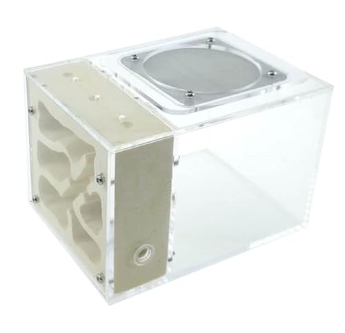 FENGJISUN Ameisenfarm Ameisen Farm Acryl Gips Gemischt Nest Ant Farm Geburtstag Geschenk Lernen Bildung Kit Ant Nest Farm Ameisenfarm Erwachsener FENGJISUN Ameisenfarm Ameisen Farm Acryl Gips Gemischt Nest Ant Farm Geburtstag Geschenk Lernen Bildung Kit Ant Nest Farm Ameisenfarm Erwachsener von FENGJISUN