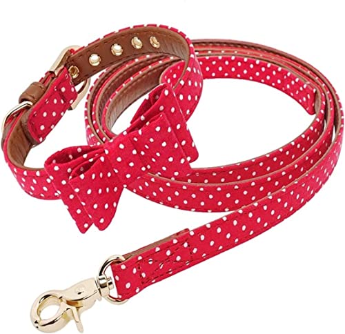 Hundeleine, Halsband und Leine für Hunde, Leder, Katze, Kragen, Polka, gepunktet, Leine, Hundeleine (33 – 51 cm) von FENGJISUN